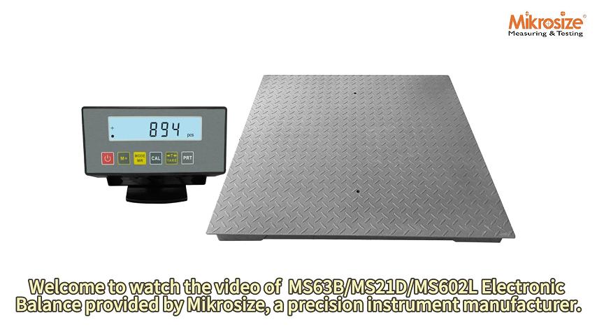 MS63B/MS21D/MS602L Electronic Balance