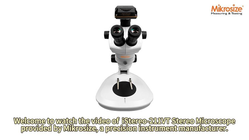 iStereo-211VT Stereo Microscope