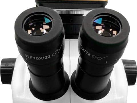 iStereo-211VT Stereo Microscope图（4）