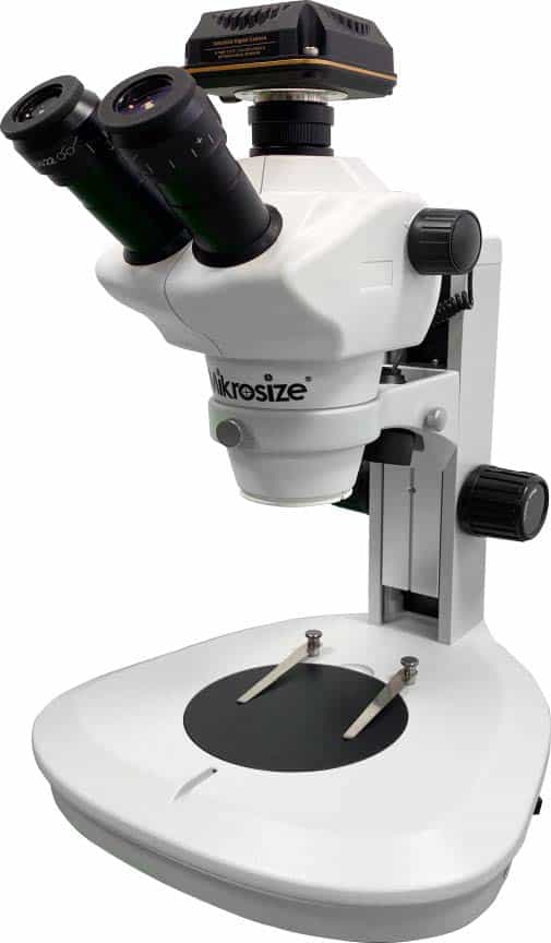 Stereoscopic Microscope