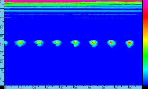 Ultrasonic Flaw Detectors6