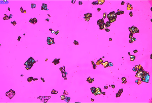iMetal 630B BD upright metallographic microscop2