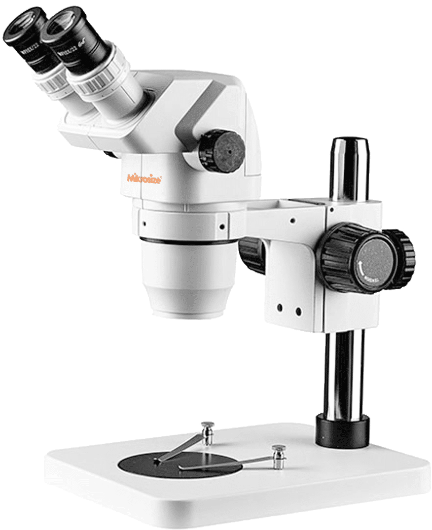 SZ6745-B1 Stereo Microscope