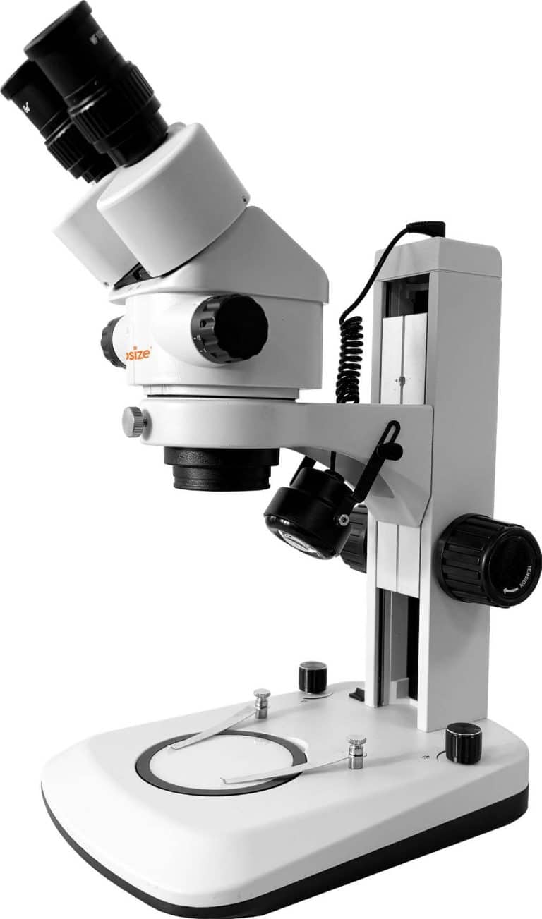 iStereo-0745 Stereo Microscope