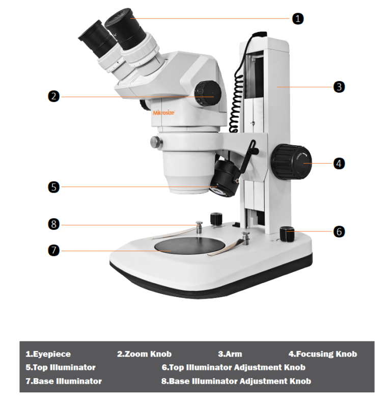 stereo microscope 1