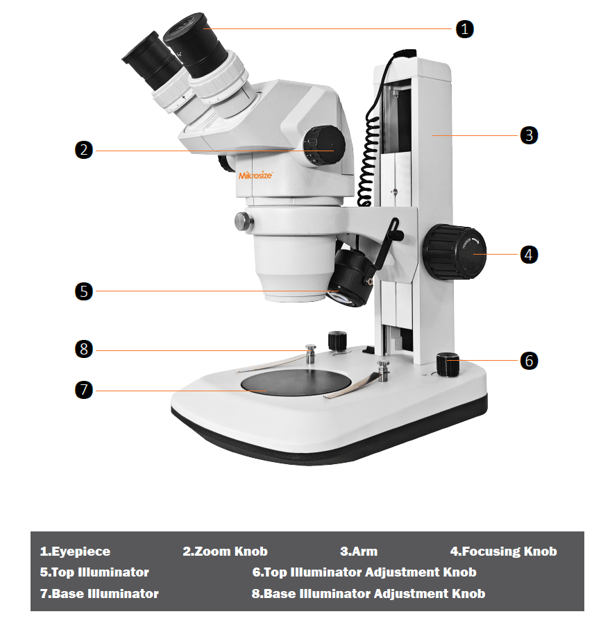 How to Use a Stereo Microscope Correctly | Operation Guide for Mikrosize iStereo-6745
