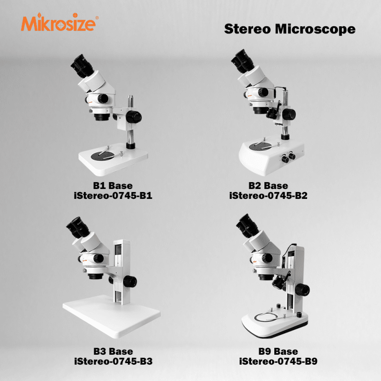 stereo microscope